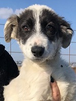 45804832_2338534839552392_1105957046542401536_n