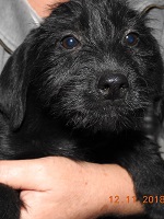 46167475_2343886019017274_8330121583494430720_o