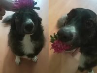 46342643_2347976021941607_2523139079894204416_o