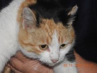 46474722_2358474980891711_3534372074422272000_n