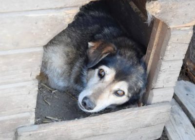 46519167_2363248060414403_8846013826521366528_n