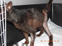 46520371_2363850207020855_4120737017015304192_n