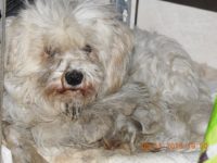 46521194_2365585420180667_7048865773183303680_n