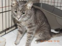 46637884_2367554889983720_9006049062499123200_n