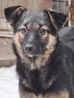 50578041_2488703074535567_2479776819490848768_o