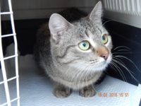 1235517_1048290338576855_2313590031460766481_n