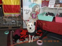 47169824_2379120562160486_6553634070901817344_o