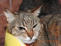 47256643_2376958269043382_7807964013974781952_o