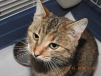 49097840_2428036073935601_8233853069830389760_o