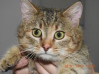 50940418_2497658056973402_6623224030134534144_o