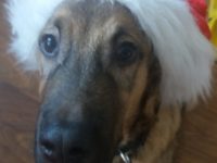 48944733_2425762550829620_5604256383621922816_o