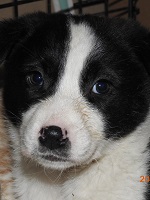 49307620_2446814705391071_9102110206552178688_o