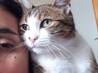 49397758_2462421917163683_9165954362831273984_n