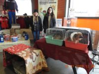 50116090_2476278979111310_2304321074667454464_o