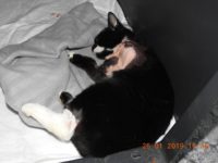 50580404_2489216634484211_4743885717388656640_o