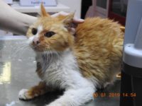 51152217_2499843090088232_2856913413806751744_o