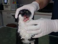 51436223_2499711656768042_3490821393803640832_n