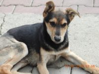 55521067_2612206475518559_8968622794791190528_o