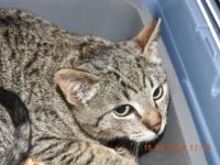 52407148_2534869293252278_718414321993908224_o