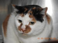 52914665_2566592083413332_378361875471007744_o