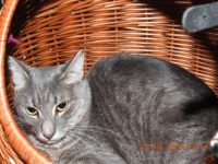 53302381_2570851779654029_3312986142608982016_n