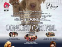 53646069_2343093712401836_964083852869894144_o