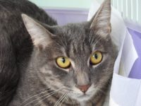 54728976_2618772584861948_3623743068177432576_o