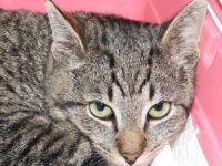 55680134_2627447593994447_2724754783322767360_n