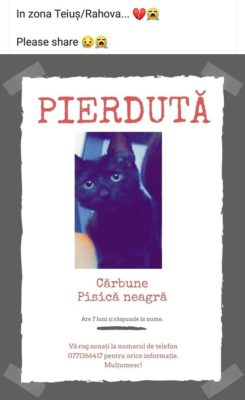 57284364_1055100354679027_2285471365148442624_n