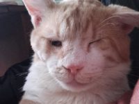 57644657_2395405013824610_6620139998802870272_n