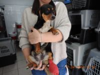 57652780_2677349775670895_8506683346821054464_o