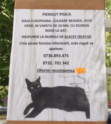 57710708_2667337620005444_3434803707319943168_n