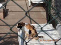 58570778_2683907911681748_3660162535421640704_n