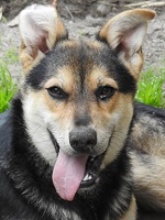 61598536_2773126162759922_7625235480769986560_n