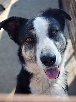 57750812_2679598555446017_3687055047943782400_n