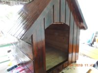 58380856_2679803275425545_5656386038076014592_n