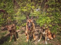 58383613_2688549121217627_6654573086622351360_o