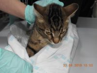 58442736_2679875002085039_6870064223066521600_n