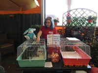 58961694_2693800534025819_6648971117828505600_o