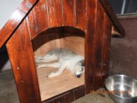 59295404_2693882474017625_762626131223379968_o