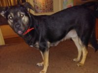 59788893_2708758199196719_3312884914524782592_n