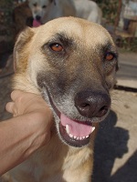 60260594_2731089360296936_323989109922070528_n