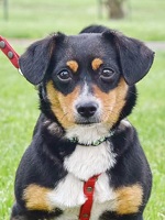 60342566_2728046377267901_5009271802443071488_n