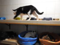 60352308_2726206707451868_7177606155160518656_o