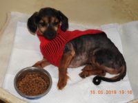 60422873_2728592303879975_4747997001818308608_o