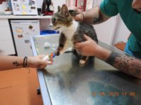 61113919_2758251694247369_2765991262547869696_o