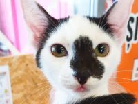 67423774_2928786137193923_1798507195738882048_n