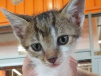 61072549_2655004794526801_1958689993908027392_n (1)