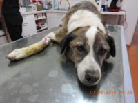 62226052_2790580424347829_541365423476572160_o