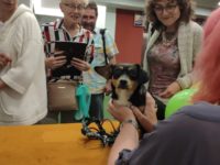 62271375_2792790320793506_8320276358810828800_o